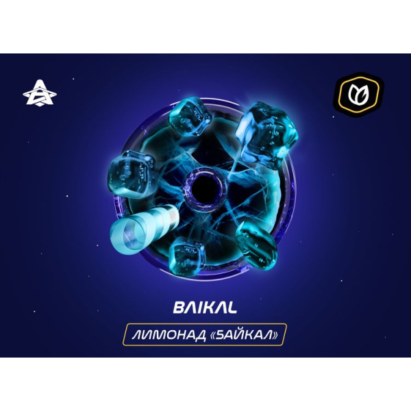 Паста Space Smoke Tobacco Baikal 30 гр в Челябинске