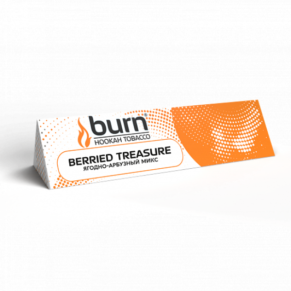 Табак BURN BERIED TREASURE 25 грамм в Челябинске