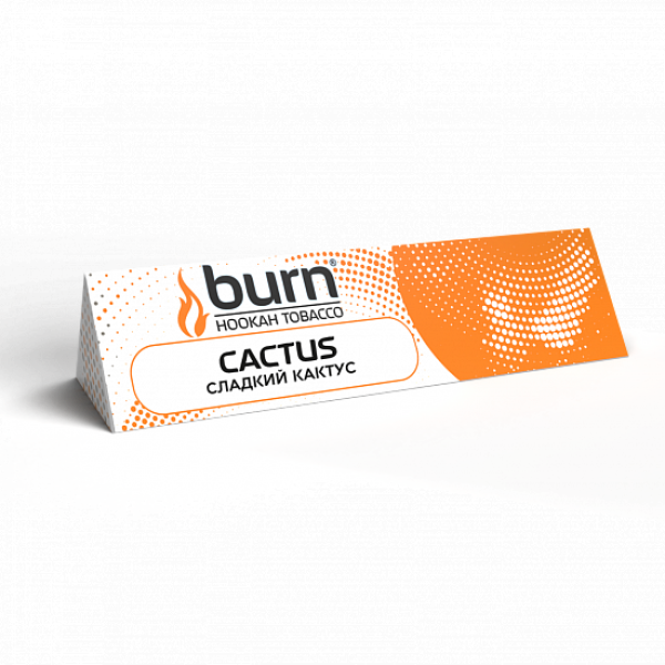 Табак BURN CACTUS 25 грамм в Челябинске