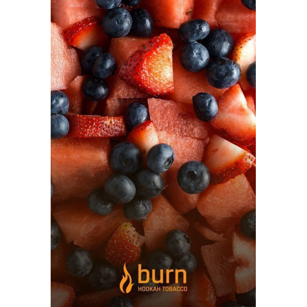 Табак Burn Berried Treasure 100 грамм в Челябинске