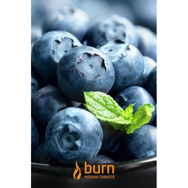 Табак Burn Blueberry Mint 100 грамм в Челябинске