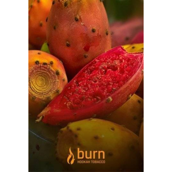 Табак Burn Cactus 100 грамм в Челябинске