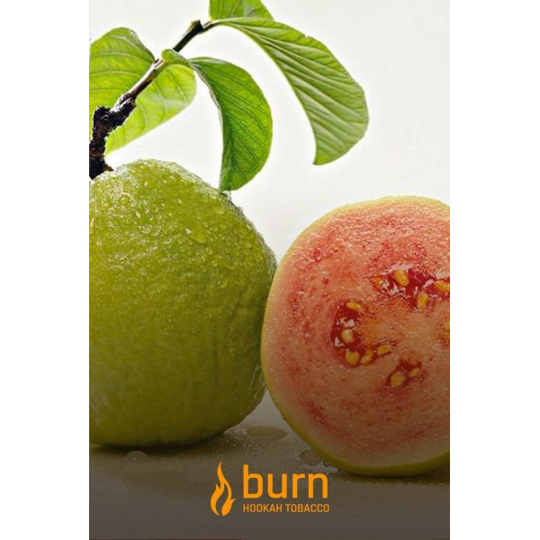 Табак Burn Guava 100 грамм в Челябинске
