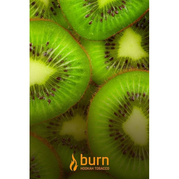Табак Burn Kiwi 100 грамм в Челябинске
