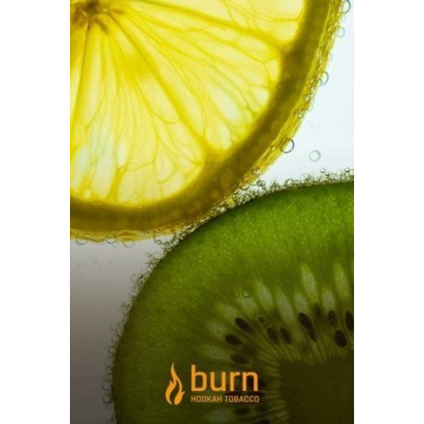 Табак Burn Kiwi Lemon 100 грамм в Челябинске