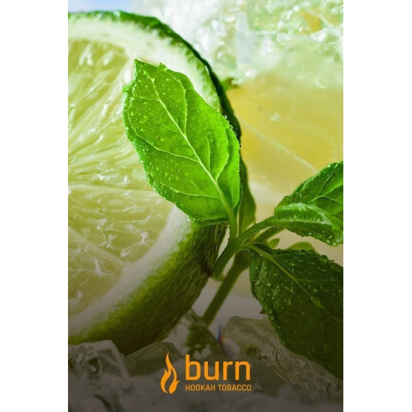 Табак Burn Lemon Mint 100 грамм в Челябинске