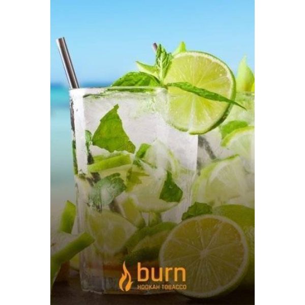 Табак Burn Mojito 100 грамм в Челябинске