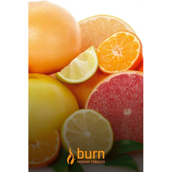 Табак Burn SundaySun 100 грамм в Челябинске