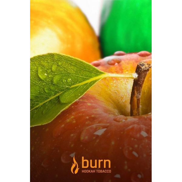 Табак Burn Three Apples 100 грамм в Челябинске