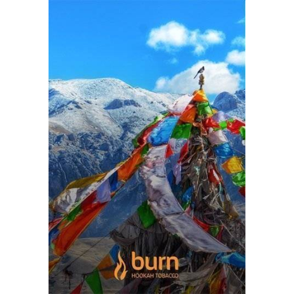 Табак Burn Tibet 100 грамм в Челябинске