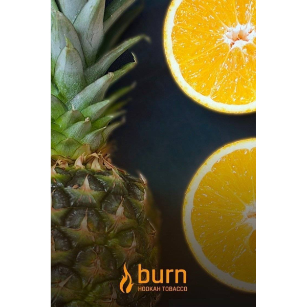 Табак Burn White Night 100 грамм в Челябинске