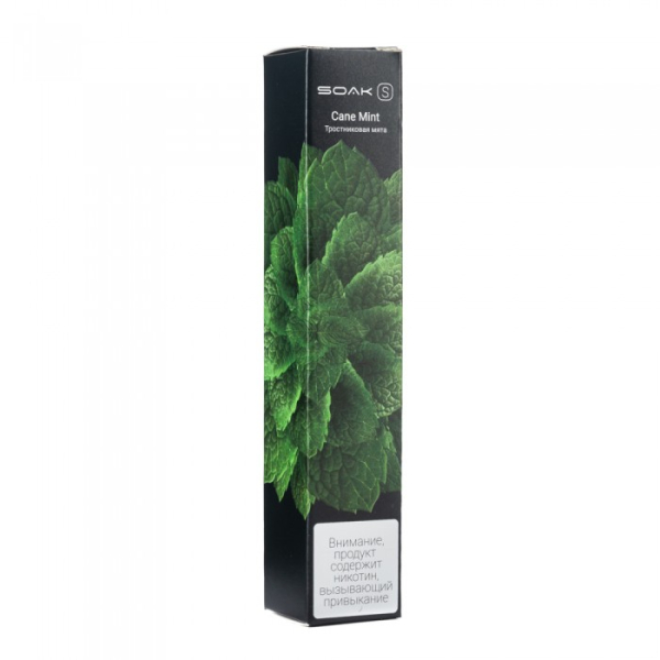 SOAK S Cane Mint (Тростниковая мята), 2500 тяг в Челябинске