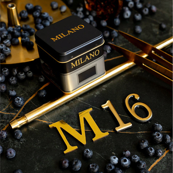 Табак MILANO GOLD М16 BILBERRY 100 гр в Челябинске