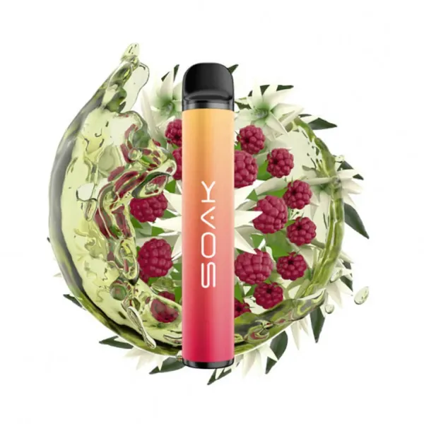 SOAK X Jasmin Raspberry Tea (Жасминовый чай с малиной), 1500 тяг в Челябинске