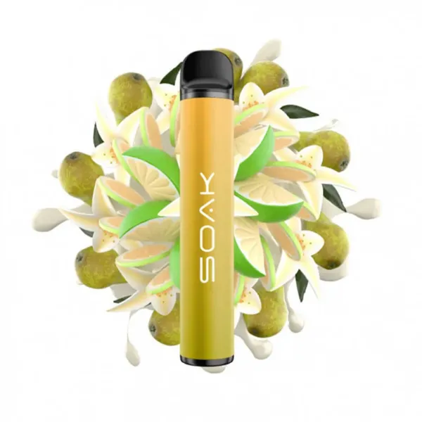 SOAK X Vanilla Pear (Ванильная груша с лаймом), 1500 тяг в Челябинске