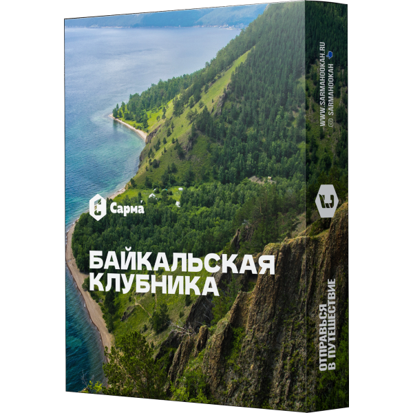 Табак Сарма Байкальская Клубника 25 гр в Челябинске