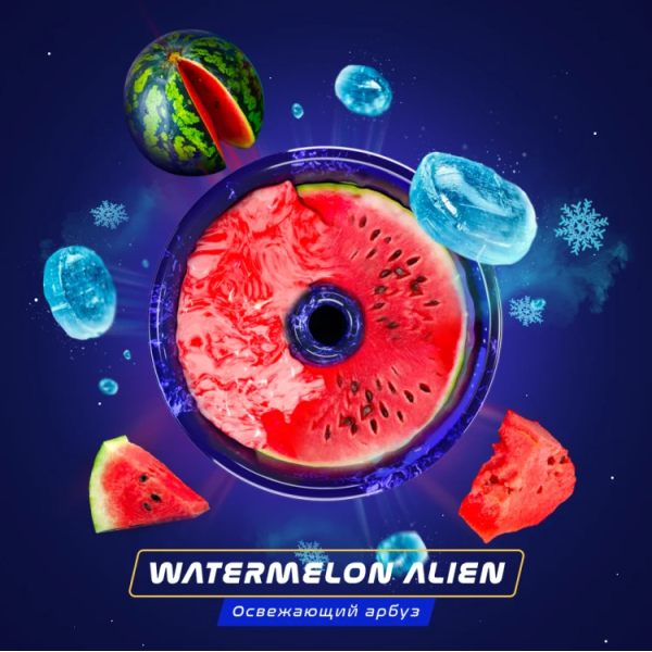 Паста Space Smoke BASIC Watermelon  Alien (Арбуз с  холодком) 125 гр в Челябинске
