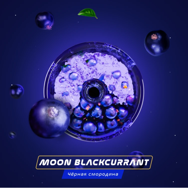 Паста Space Smoke BASIC Moon  Blackcurrant (Черная  смородина) 30 гр в Челябинске
