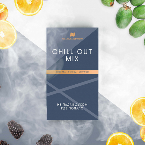 Табак Шпаковского Chill Out (Ежевика Фейхоа Цитрусы) 40 грамм в Челябинске