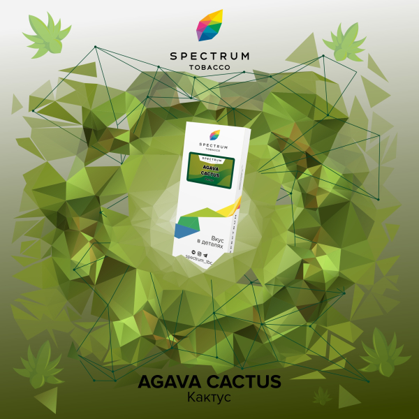 Табак Spectrum Classic Agava Cactus 100 грамм в Челябинске