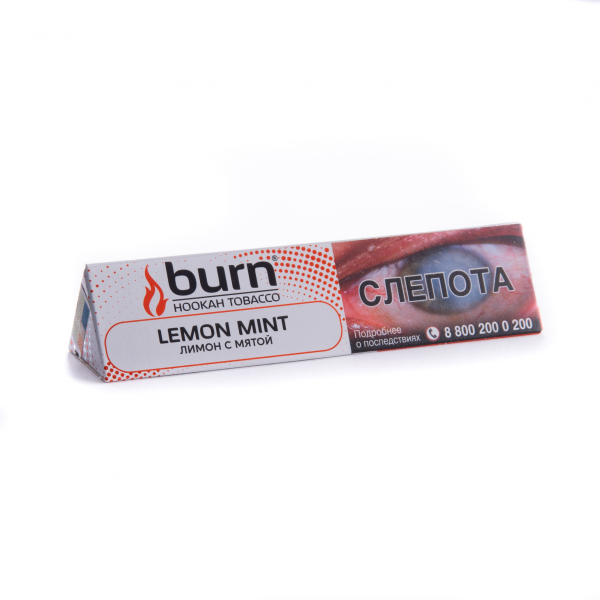 Табак Burn Lemon Mint  25 грамм в Челябинске